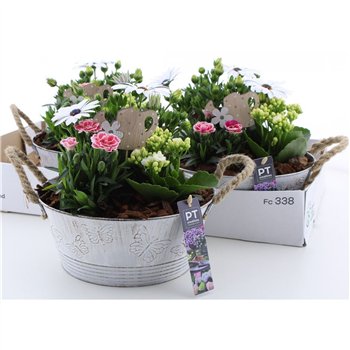 Nasad gardenplants Outdoor In White Metal 28cm 24cm Q2592