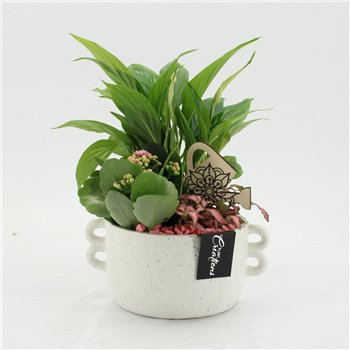 Nasad ESCR-2638RZ Essentials 3 pp 35cm 20cm Q4708