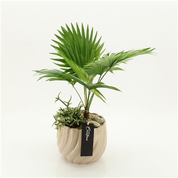 Nasad GRCR-2644 Green Essentials 2 pp 55cm 17cm Q4715