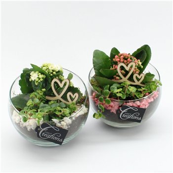 Nasad MDCR-2626 Mothers day Essentials 2 pp 25cm 18cm Q4717