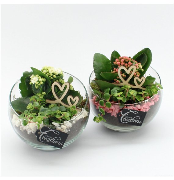 Nasad MDCR-2626 Mothers day Essentials 2 pp 25cm 18cm Q4717