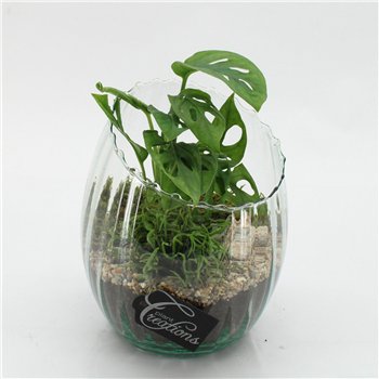 Nasad GRCR-2603 Green Essentials 2 pp 25cm 16cm Q4722