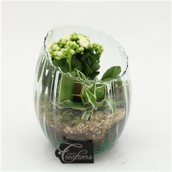 Nasad ESCR-2626W Essentials 2 pp 25cm 16cm Q4723