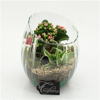 Nasad ESCR-2626RZ Essentials 2 pp 25cm 16cm Q4724