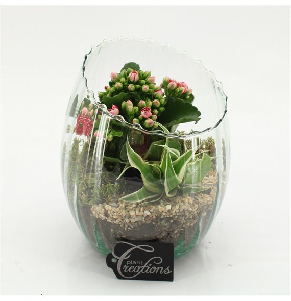 Nasad ESCR-2626RZ Essentials 2 pp 25cm 16cm Q4724