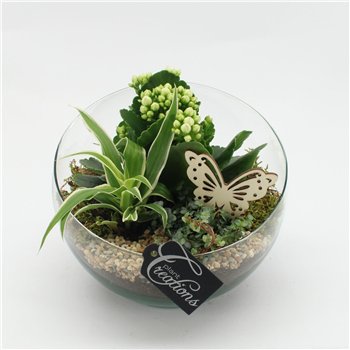 Nasad ESCR-2630W Essentials 3 pp 25cm 18cm Q4725