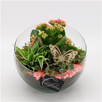 Nasad ESCR-2630RZ Essentials 3 pp 25cm 18cm Q4726