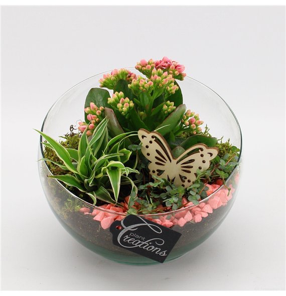 Nasad ESCR-2630RZ Essentials 3 pp 25cm 18cm Q4726