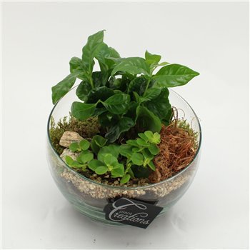 Nasad GRCR-2601 Green Essentials 2 pp 25cm 18cm Q4727