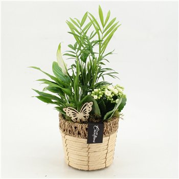 Nasad ESCR-2611W Essentials 3 pp 50cm 16cm Q4742