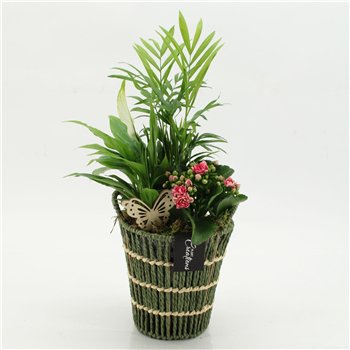 Nasad ESCR-2617RZ Essentials 3 pp 50cm 16cm Q4691