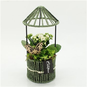 Nasad ESCR-2616W Essentials 2 pp 35cm 12cm Q4693