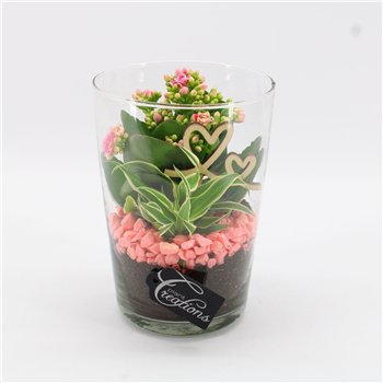 Nasad MDCR-2624 Mothers day Essentials 2 pp 25cm 14cm Q4718