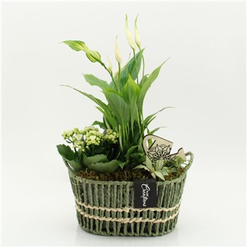 Nasad ESCR-2618W Essentials 3 pp 40cm 23cm Q4720