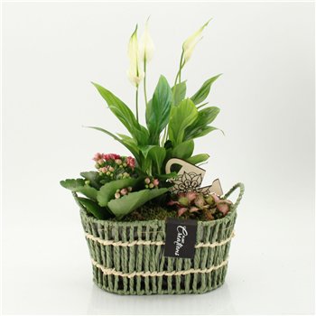 Nasad ESCR-2618RZ Essentials 3 pp 40cm 23cm Q4721