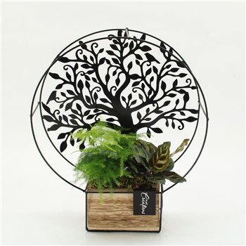 Nasad GRCR-2630 Green Essentials 2 pp 41cm 30cm Q4732