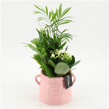 Nasad ESCR-2603W Essentials 3 pp 45cm 16cm Q4698