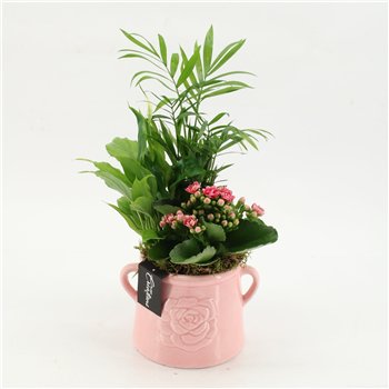 Nasad ESCR-2603RZ Essentials 3 pp 45cm 16cm Q4700