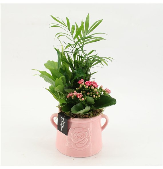 Nasad ESCR-2603RZ Essentials 3 pp 45cm 16cm Q4700