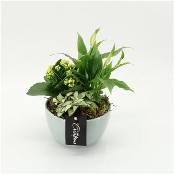 Nasad PROMO-2604 Blue Monday 3 pp 30cm 13cm Q4688