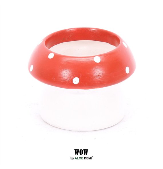 Deco WOW Mushroom 12cm 9cm Q274