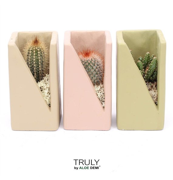 Kaktus mix TRULY  Meles concrete moss - Green Beige Pink 1 pp 14cm 7cm Q722