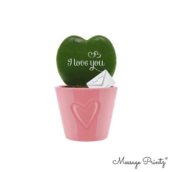Hoya kerrii Message Printz  I Love You with ceramic Boston Roze 1 pp 13cm 7cm Q2178