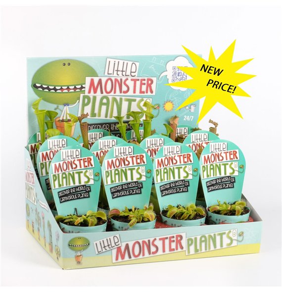 Vleesetende plants Little Monster Plants in Dislaydoos 25cm 8.5cm Q2552