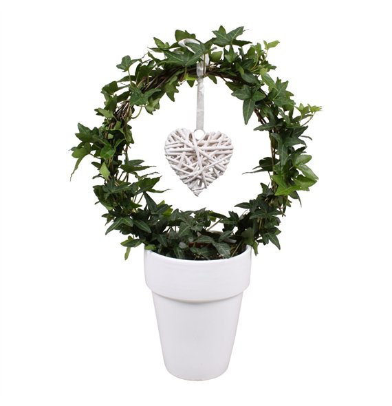 Hedera helix green arc+hart in keramiek40 - 44 cm 9 pp 40cm 13cm Q2092