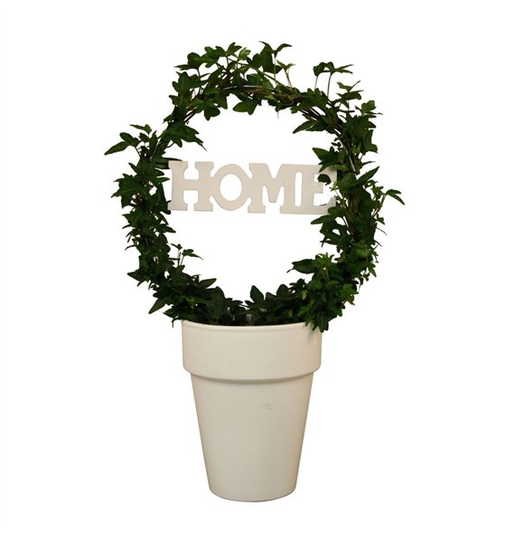 Hedera helix green Bow + Home In Ceramic 40cm 13cm Q2116