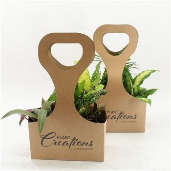 Miks lončnic Tas 3 Ecotas with plants 40cm 9cm Q3598