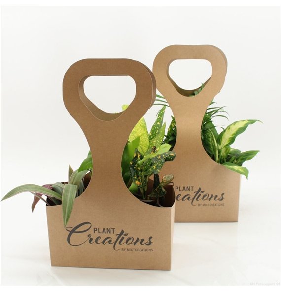 Miks lončnic Tas 3 Ecotas with plants 40cm 9cm Q3598