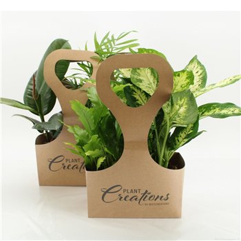 Miks lončnic Tas 2 Ecotas with plants 40cm 12cm Q3599