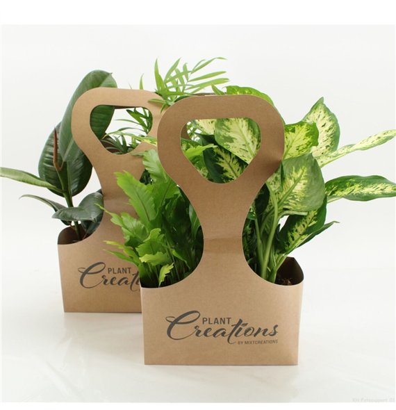 Miks lončnic Tas 2 Ecotas with plants 40cm 12cm Q3599