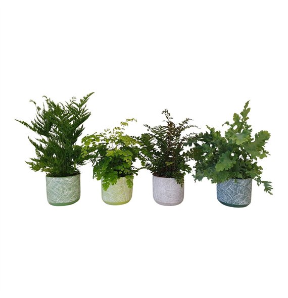 Varens mix Varenmix in ceramic BGC00935 cm diameter 40cm 12cm Q4009