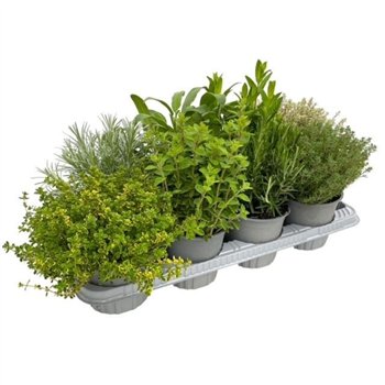 Kruiden mix 25cm 14cm Q1835