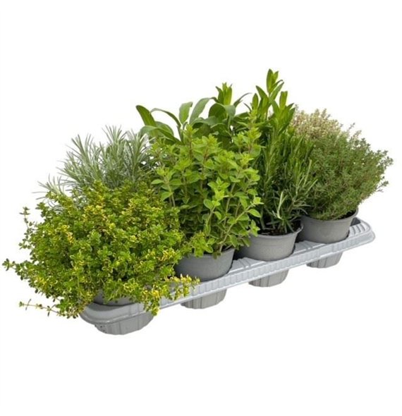 Kruiden mix 25cm 14cm Q1835