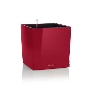 CUBE Premium 30 - All-in-One Set scarlet red glossy kat. št. 16467