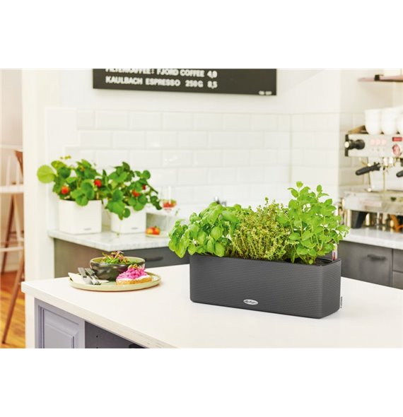 CUBE Color Triple incl. brackets - All-in-One Set Slate kat. št. 13684