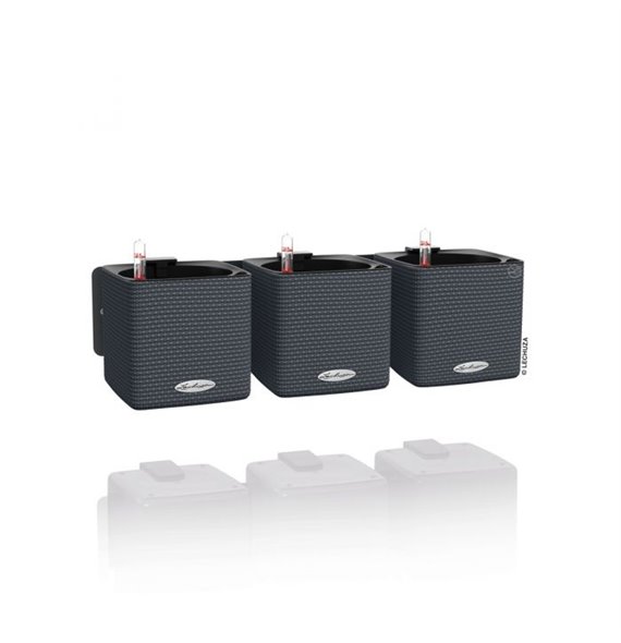 Green Wall Home Kit Color - All-in-One Set Slate kat. št. 13399