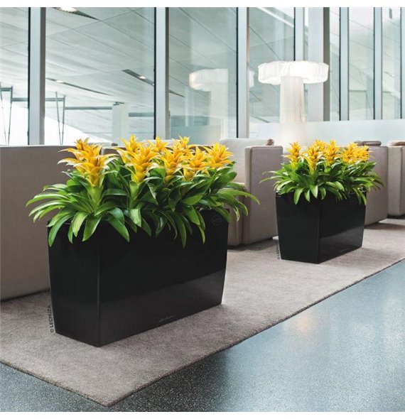 Cararo Premium 75 - All-In-One Black kat. št. 18809