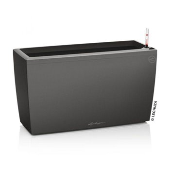 Cararo Premium 75 - All-In-One Charcoal kat. št. 18803