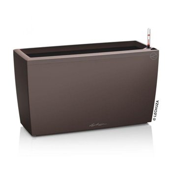 Cararo Premium 75 - All-In-One Espresso kat. št. 18827