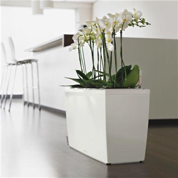 Cararo Premium 75 - All-In-One White kat. št. 18800