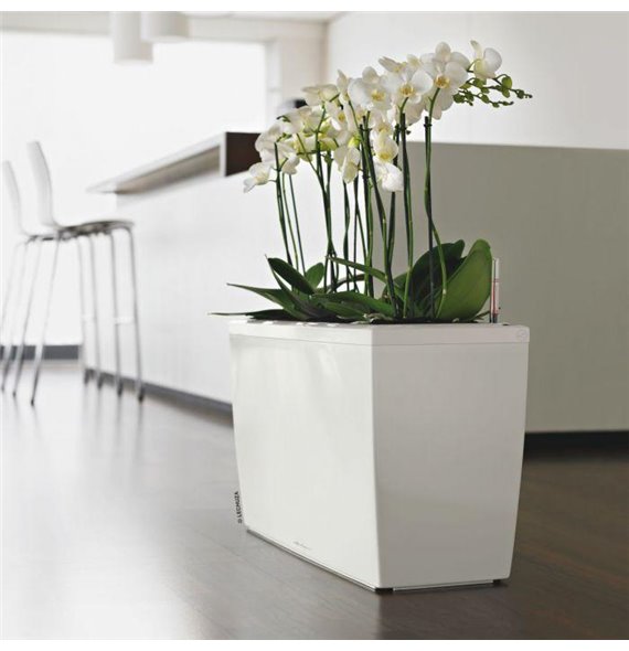 Cararo Premium 75 - All-In-One White kat. št. 18800