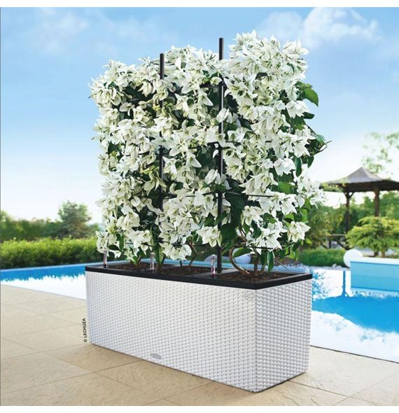 Trio Cottage 40 - All-In-One White kat. št. 15020