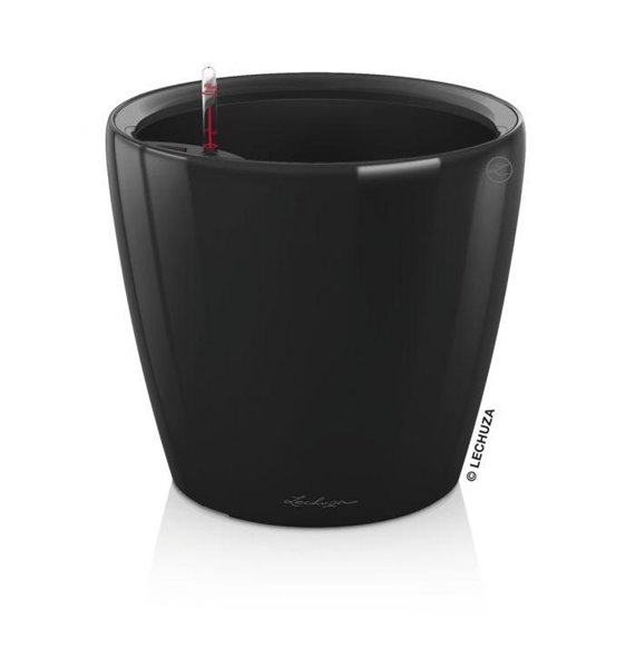 Classico Premium 50 - LS All-In-One Black kat. št. 16109