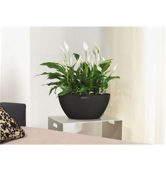 CUBETO Color 40 - All-in-One Set graphite black kat. št. 13842