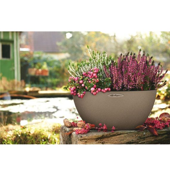 CUBETO Color 40 - All-in-One Set sand beige kat. št. 13841